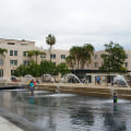 The Impact Of The San Diego County Election On Local Policies